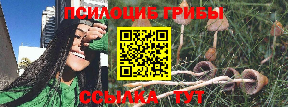 Псилоцибиновые грибы прущие грибы Вичуга