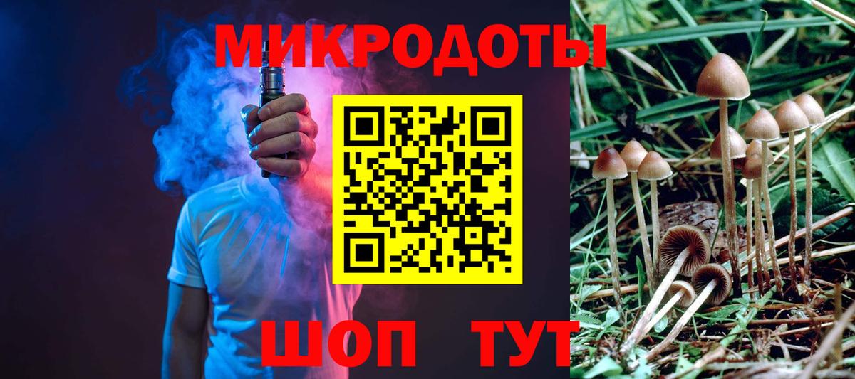 Галлюциногенные грибы Psilocybe  Вход с VPN  купить наркоту  Вичуга 